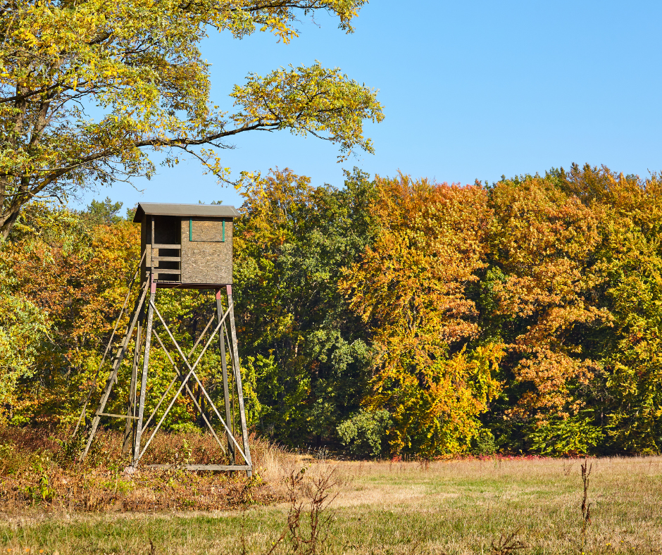 Planowane polowania zbiorowe Koła Łowieckiego „Wataha” – styczeń 2026 r.