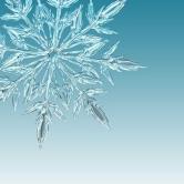 Znaczny spadek temperatur - jeden telefon może uratować życie. Nie bądź obojętny!